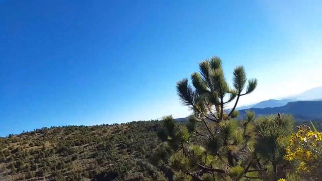 Rumbo al Volcan Pico de Orizaba смотреть онлайн