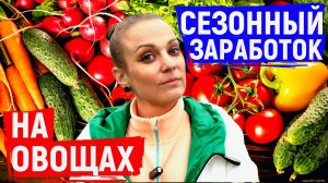 Сколько мы заработали на овощном хозяйстве? Расчёт за лето.