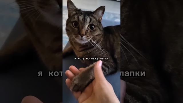 Способ привлечение денег)
#приметы