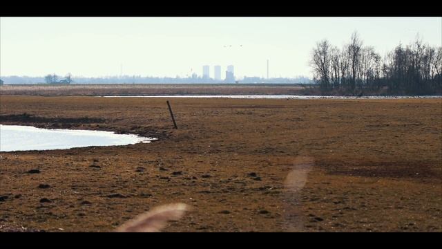 Cinematic Nature video Ackerdijkse plassen: test of Canon 16 35 f4 is and 70 200 f2.8 IS II смотреть онлайн