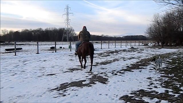 nita cowboy after 9 years 1 23 16 MOV смотреть онлайн