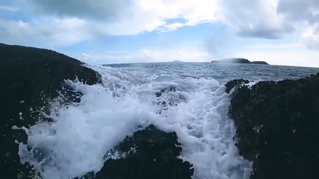 Rina Stempel  Gravity