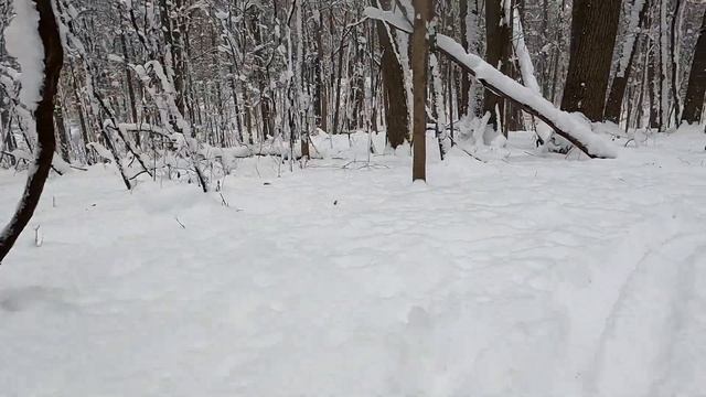 Riding an EBike in Snow! ❄️⚡️| Senada Saber 1000 Watt EBike Through Snow смотреть онлайн