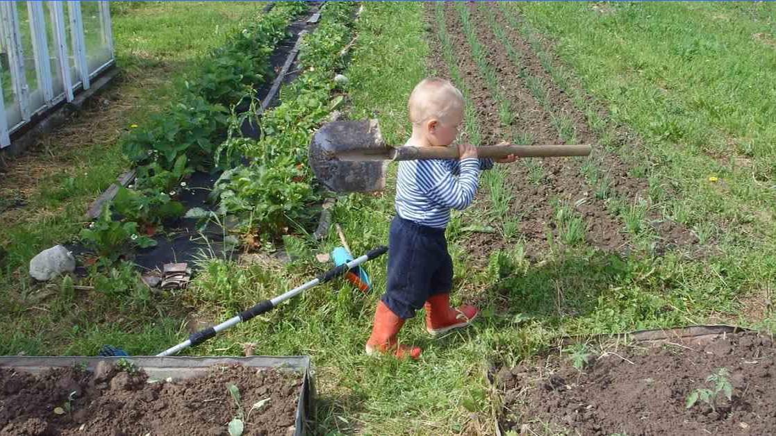 Сын хорошим не родится, а воспитывается. смотреть онлайн