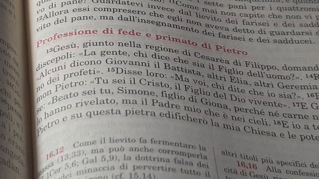 Solennità dei Santi Pietro e Paolo смотреть онлайн