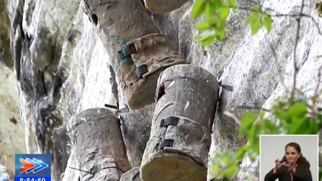 Desarrollan programa de conservación de aves en Pico San Juan смотреть онлайн