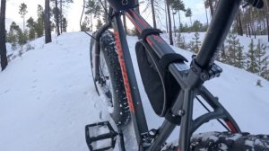 Лесные покатухи на Фэтбайке по свежему снегу.