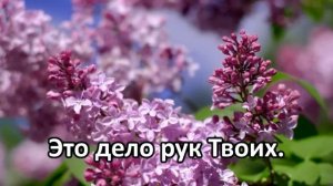 4. Славим, славим в песнопеньях