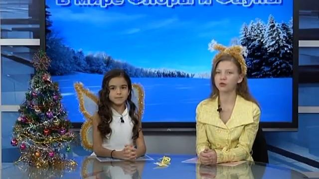 В мире Флоры и Фауны №12 смотреть онлайн