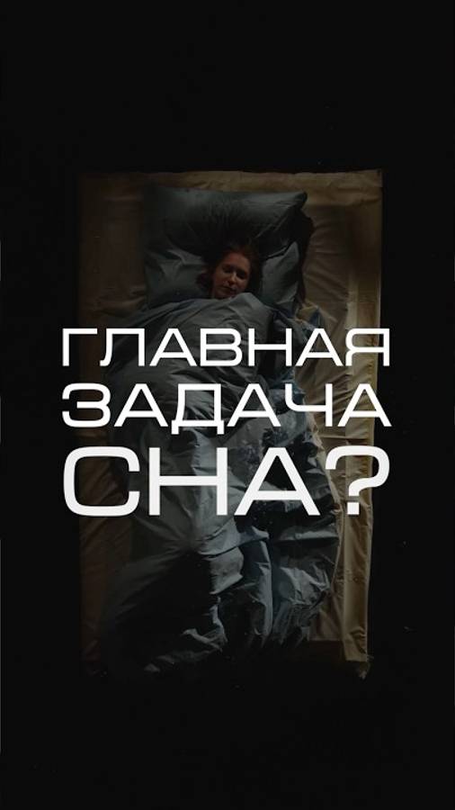 Нейросеть отвечает «Какая главная задача сна?» #нейросеть #сон #наука #мозг смотреть онлайн