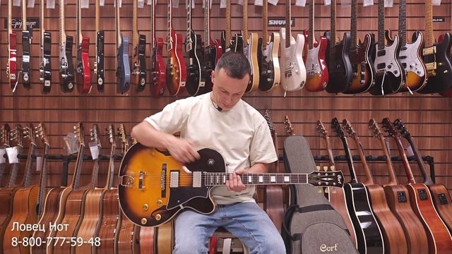 Cort Yorktown - обзор гитары