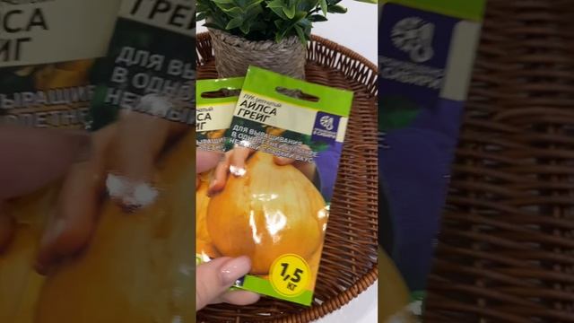 С луком будет эксперимент. смотреть онлайн