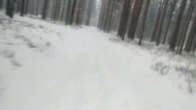 Январь 2021. Новогодний снег в Моторном