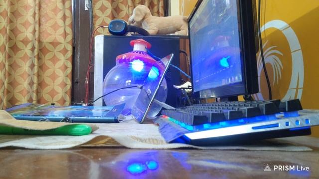 LIVE🔴 | SESSION 1/2| STUDY WITH ME📖 | CUET DAY 12/20 | JEE | NEET | FOCUS STUDIES LIVE смотреть онлайн