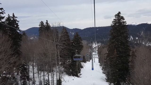 Mitarbi смотреть онлайн