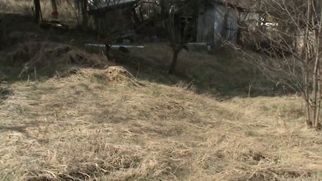 Тера Булгари / къща в село M2U00019 смотреть онлайн