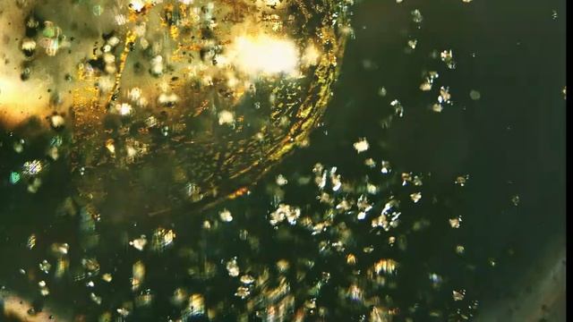 Нейтрализует варикозное расширение вен и геморрой скалярное энергетическое поле смотреть онлайн