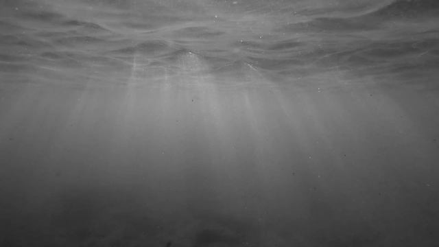 Rammstein - Mein Herz Brennt, Piano Version(underwater video hd) смотреть онлайн