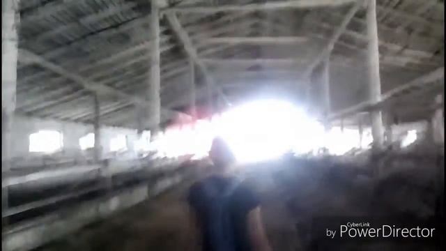 Привидение на ферме смотреть онлайн