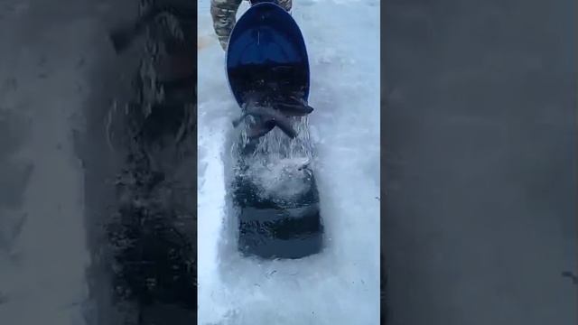 запуск на путевки смотреть онлайн
