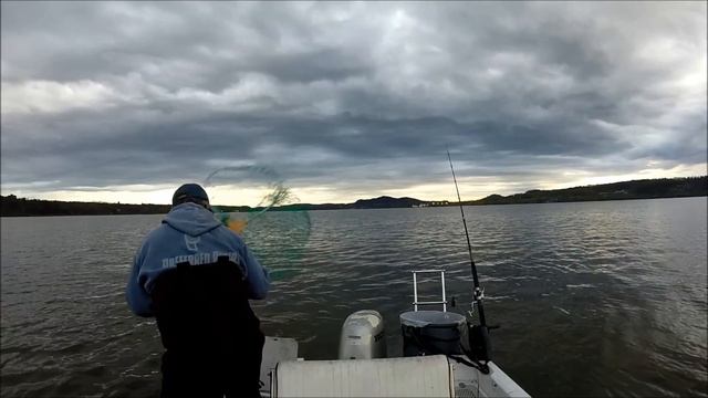 Ziffy Catches A 32 inch - 12 lb. Striper April 30, 2015 смотреть онлайн