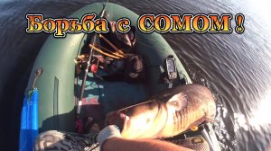 Борьба с БОЛЬШИМ СОМОМ. ТОЛЬКО ! вываживание...