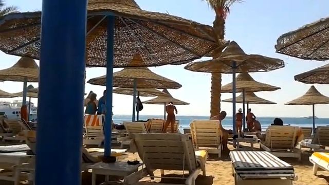 Обзор отеля "Marlin Inn" - часть 4 смотреть онлайн