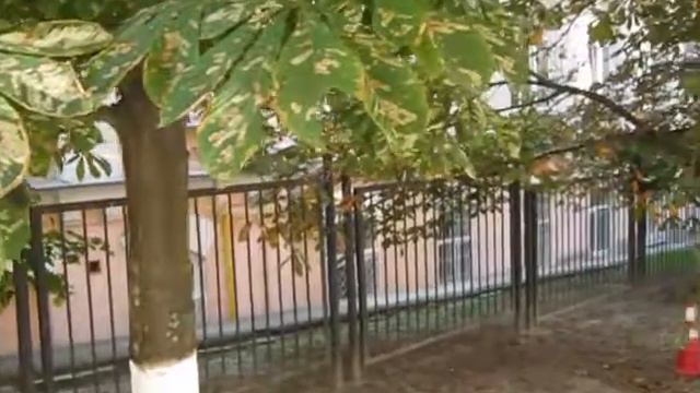 Место под передвижную торговлю по адресу ул. Предславинская 24 смотреть онлайн