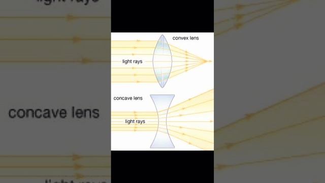 lens смотреть онлайн