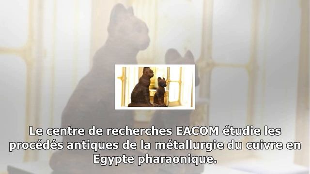 Une première en archéologie expérimentale menée par des chercheurs belges смотреть онлайн