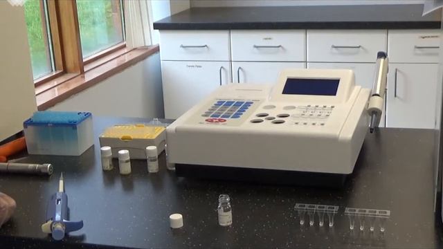 TS4000 - Preparing a Test смотреть онлайн