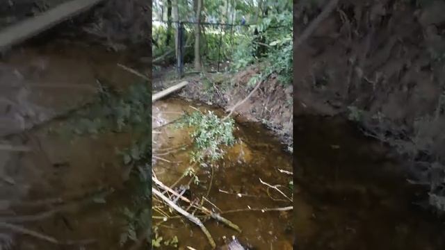 Дом в лесу своими руками смотреть онлайн