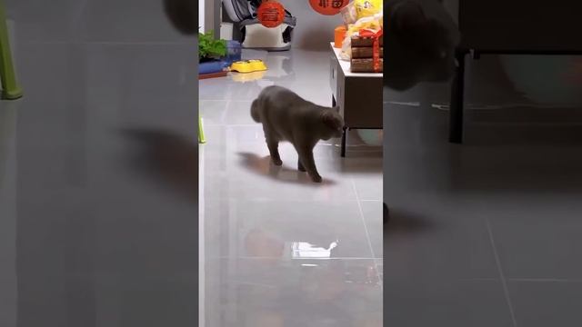 да я просто хожу смотреть онлайн