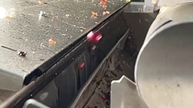 Coffee cherry optical selection - Blockchain & Aromateller Expert Training journey смотреть онлайн