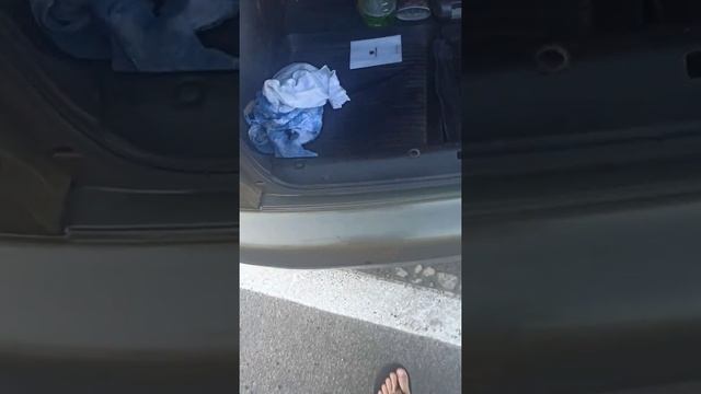 део сенс смотреть онлайн