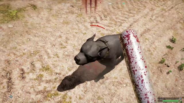 FarCry®5 2025-01-17 11-45-31