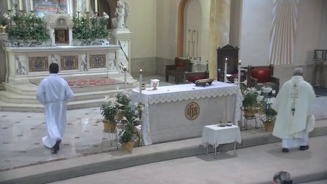 Mass for the Fourth Sunday of Easter - Live - 4/21/2024 смотреть онлайн