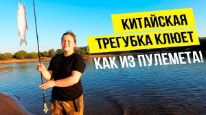 Ловим Китайскую трегубку на ультролайт. Рыбалка на амуре. Рыбалка на спиннинг.  Спиннинговая ловля