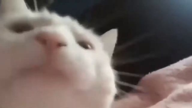 ЗаКаМсКиЙ кВаС смотреть онлайн