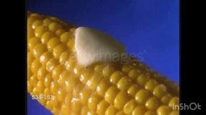 Baby McDonald 🐮 (GettyImages Stock Footage) Part Two