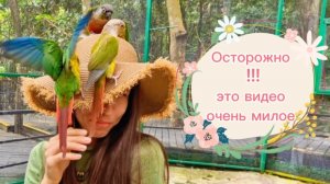 о.Хайнань,  деревня Ли и Мяо