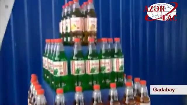 President Ilham Aliyev attended opening of lemonade plant in Gadabay смотреть онлайн