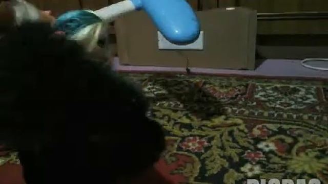 Вызов принят#3"чевото жарковато дайте лимонада!! #picpac #monsterhigh смотреть онлайн