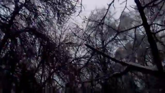 Москва, Оледенелые деревья смотреть онлайн