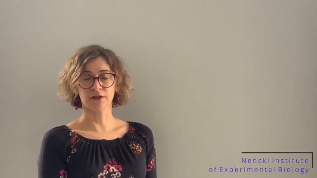 SBEM to Study of Dendritic Spines | Protocol Preview смотреть онлайн