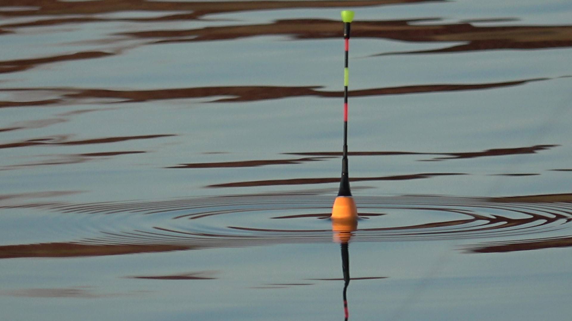 ПЕРВЫЙ ПОПЛАВОК И ДОНКА 2025! РЫБАЛКА НА ДИКАРЕ ОТЛИЧНА, А БРАТЬ РЫБУ ЗАПРЕЩЕНО! ДОМИК В РЫБНОМ РАЮ