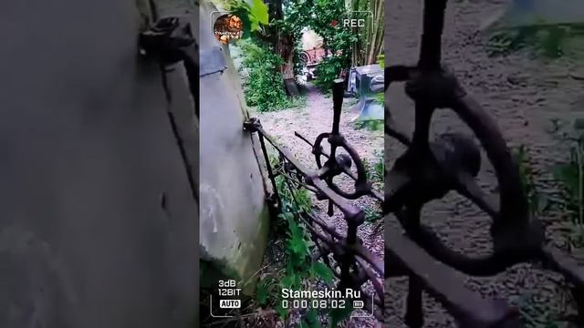 Калиточка!🤔👍.mp4 смотреть онлайн