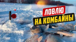 Рыбалка на комбайны, спусники. Как я стал комбайнером.