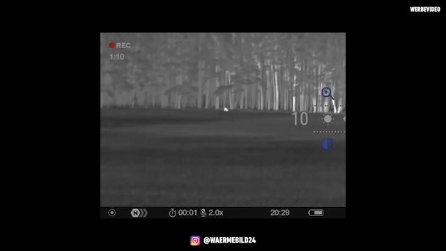 Anblick mit dem PULSAR Axion 2 XQ35 Pro Wärmebild-Handgerät 🔴 смотреть онлайн