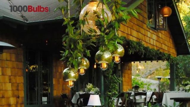 Antique Light Bulb Co. 132509 20-Watt T9 Bulb смотреть онлайн